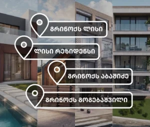 5 ᲡᲐᲣᲙᲔᲗᲔᲡᲝ ᲣᲑᲐᲜᲘ ᲗᲑᲘᲚᲘᲡᲨᲘ ᲑᲘᲜᲘᲡ ᲨᲔᲡᲐᲫᲔᲜᲐᲓ